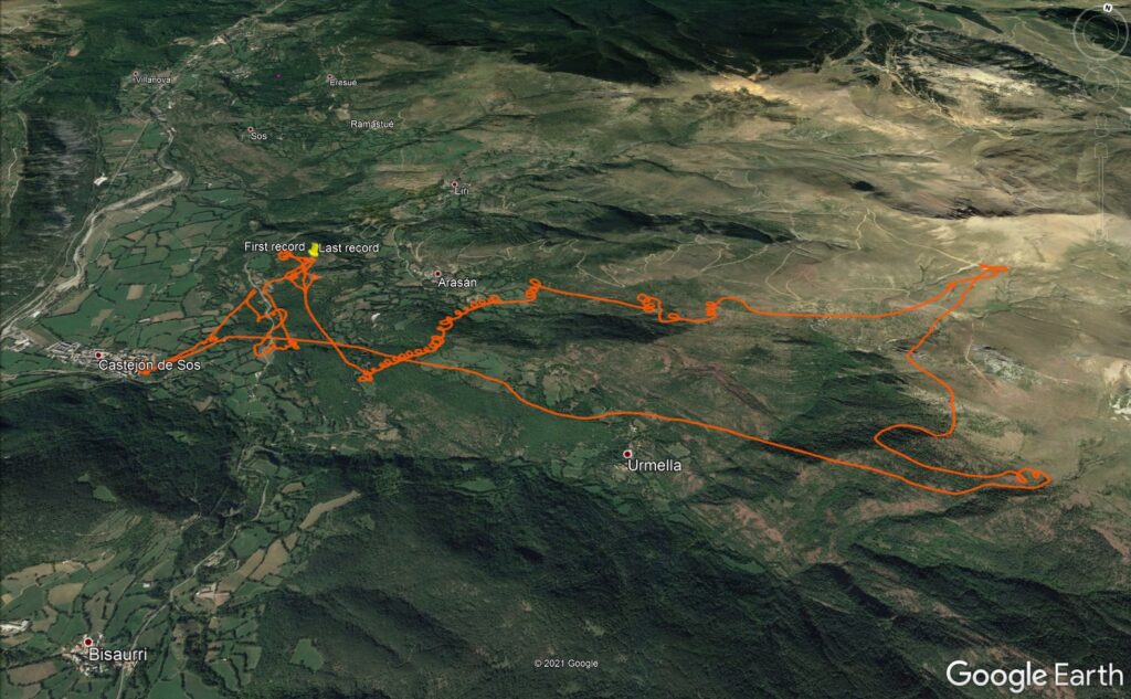 Track marmota Ignacio Arevalo 2021