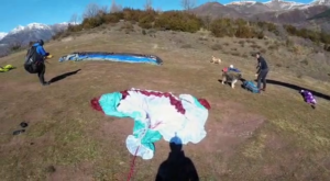 Marmota Laia 2023 (1)